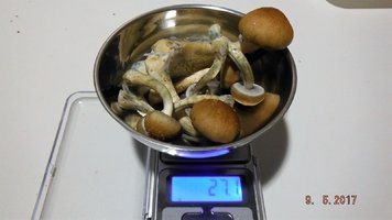 DSCF3513.JPG