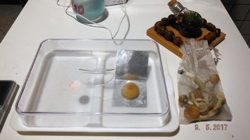 DSCF3514.JPG