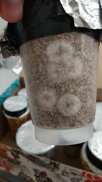 IMG_20170512_123454002.jpg