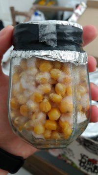 pote 2.jpg