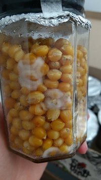 IMG_20170512_122828643.jpg