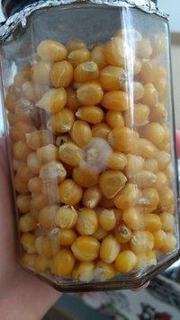 IMG_20170512_122817329.jpg