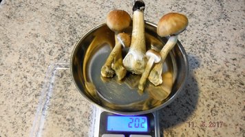 DSCF3519.JPG