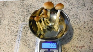 DSCF3520.JPG