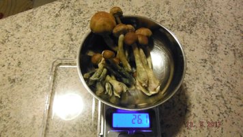 DSCF3530.JPG