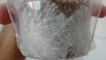 IMG_20170514_083208657.jpg