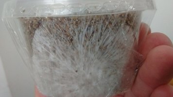 IMG_20170514_083242461.jpg