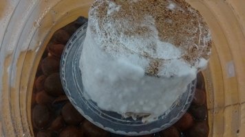 IMG_20170514_083532892.jpg