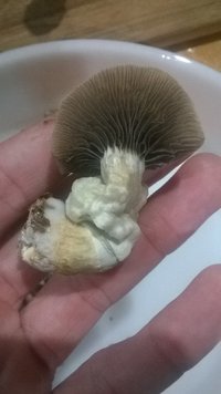 WP_20170516_005.jpg