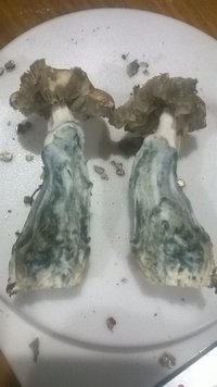 WP_20170516_018.jpg