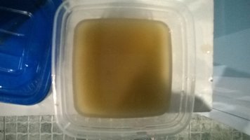 WP_20170516_022.jpg