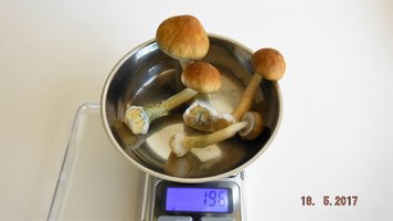 DSCF3534.JPG