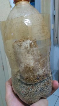 IMG_20170518_190941524.jpg