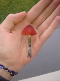 IMG_20170521_131432861.jpg