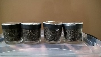 WP_20170522_22_26_14_Pro.jpg WP_20170522_22_26_14_Pro.jpg