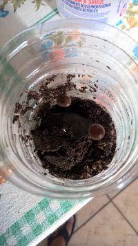 WP_20170525_16_28_25_Pro.jpg WP_20170525_16_28_25_Pro.jpg