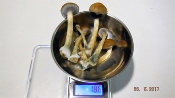 DSCF3549.JPG