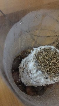 IMG_0650.JPG