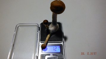 DSCF3557.JPG