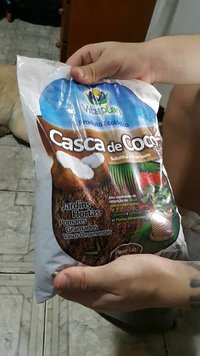 casca coco.jpg