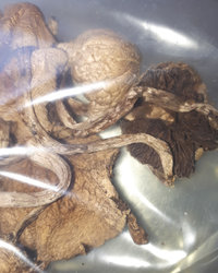 20180412_132226.jpg