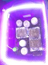 upload_2018-4-23_23-33-1.jpeg