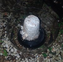 IMG_20180427_091923_358.jpg