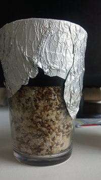 20180427_125929.jpg