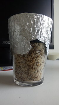 20180427_125924.jpg