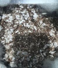 IMG_20180428_210624_503.jpg
