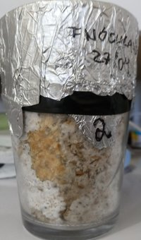 20180504_131152-1.jpg