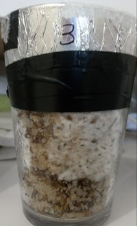 20180504_131113-1.jpg