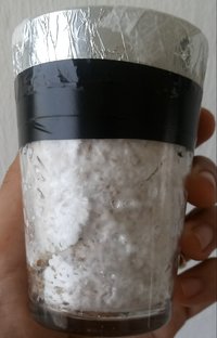 20180508_153051-1.jpg