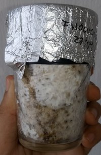 20180508_153350-1.jpg