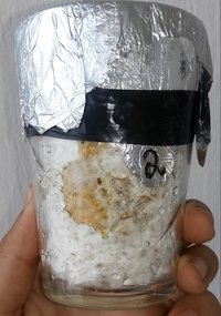 20180508_153314-1.jpg