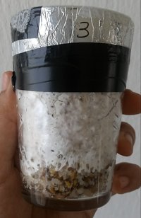 20180508_153103-1.jpg