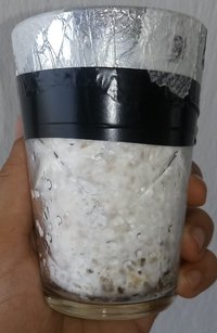 20180508_153015-1.jpg
