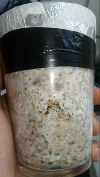 20180512_142044-1.jpg
