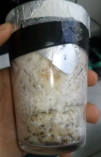 20180512_142108-1.jpg