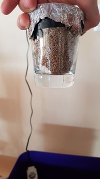IMG-20180512-WA0001.jpg