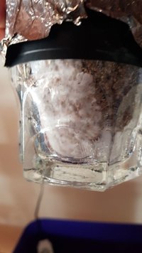 IMG-20180512-WA0008.jpg