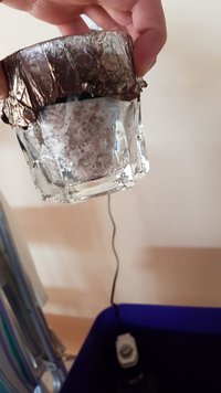 IMG-20180512-WA0006.jpg