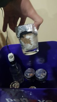 IMG-20180516-WA0012.jpg