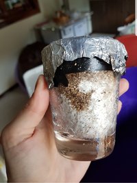 20180519_160114.jpg