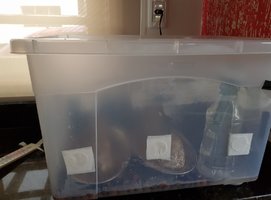 20180519_160145.jpg