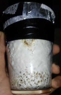 20180519_232152-1.jpg