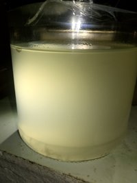 20180519_233423-1.jpg