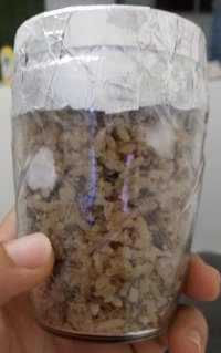 20180519_232458-1.jpg