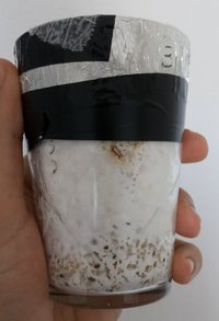 20180524_151921-1.jpg