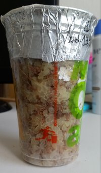 20180524_151643-1.jpg